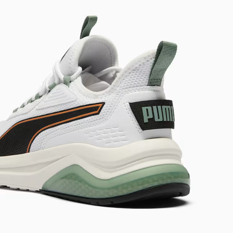 Puma Amplifier