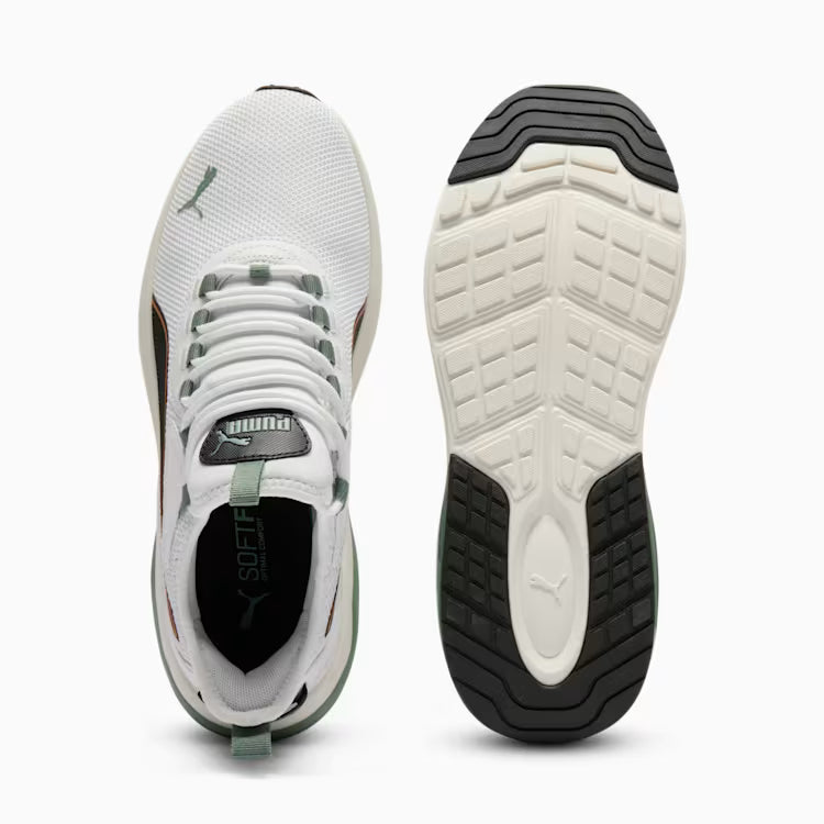 Puma Amplifier