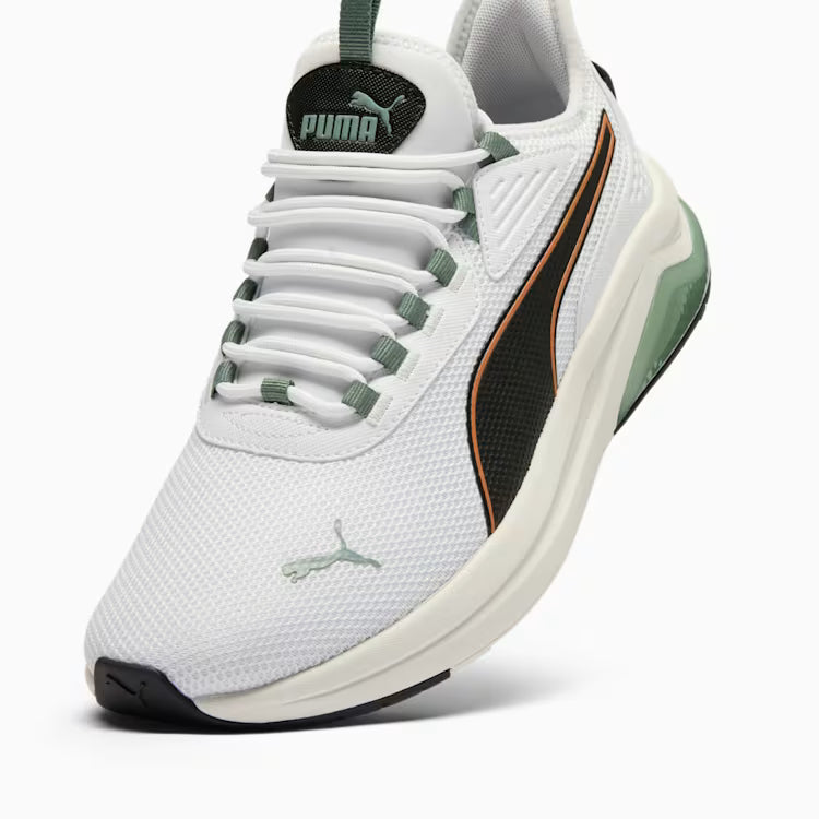 Puma Amplifier