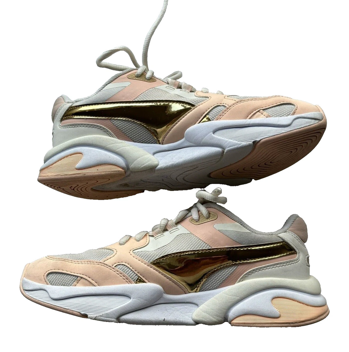 Puma X Ray