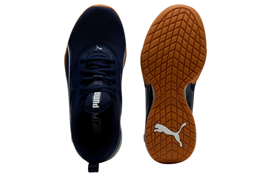 PUMA Neutron